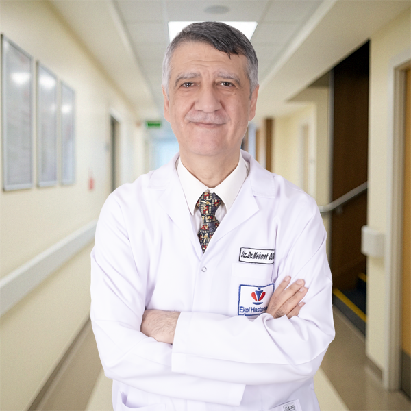 Dr. Mehmet DOĞRU